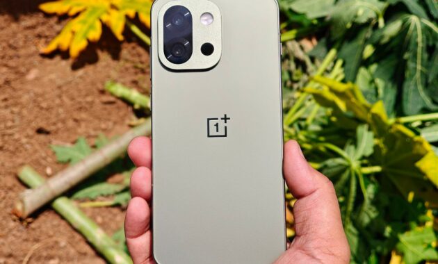 OnePlus 13s