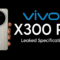 Vivo X300
