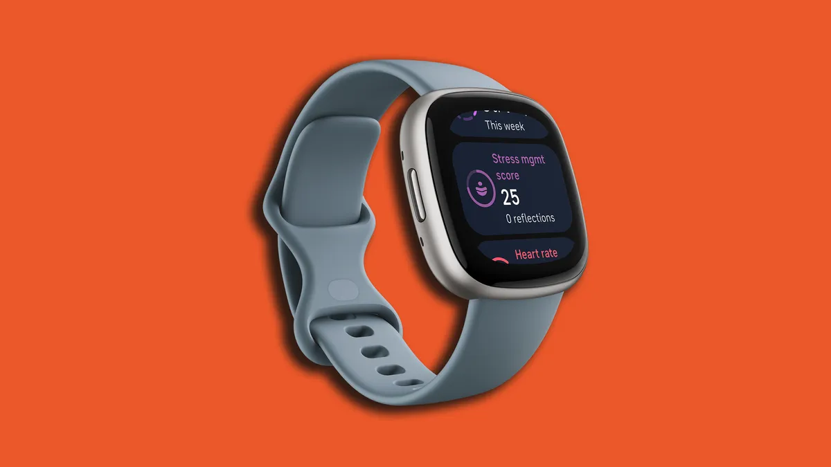 Google Fitbit Versa 4 Smartwatch